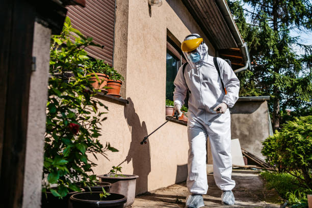 Best Wasp Removal Services  in Grafton, OH