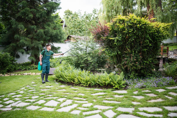 Best Pest Removal Services  in Grafton, OH