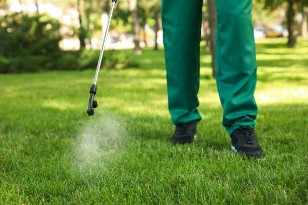 Best Local Pest Control Services  in Grafton, OH