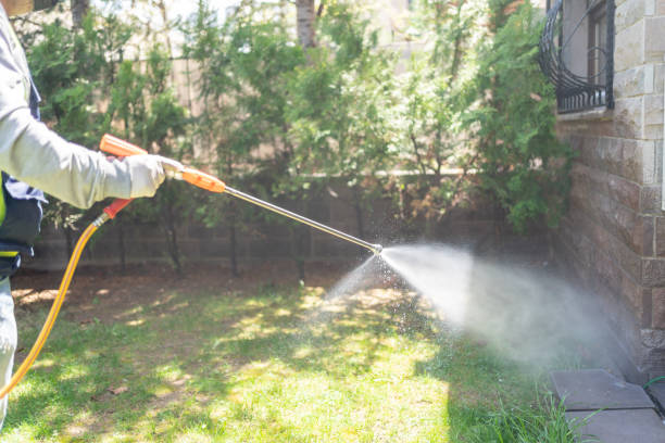 Best Flea Control Services  in Grafton, OH