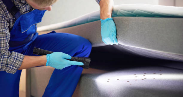 Best Residential Pest Control  in Grafton, OH