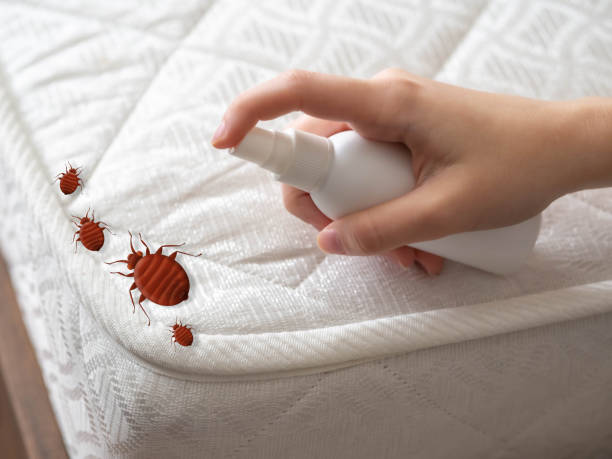 Best Commercial Pest Control Services  in Grafton, OH